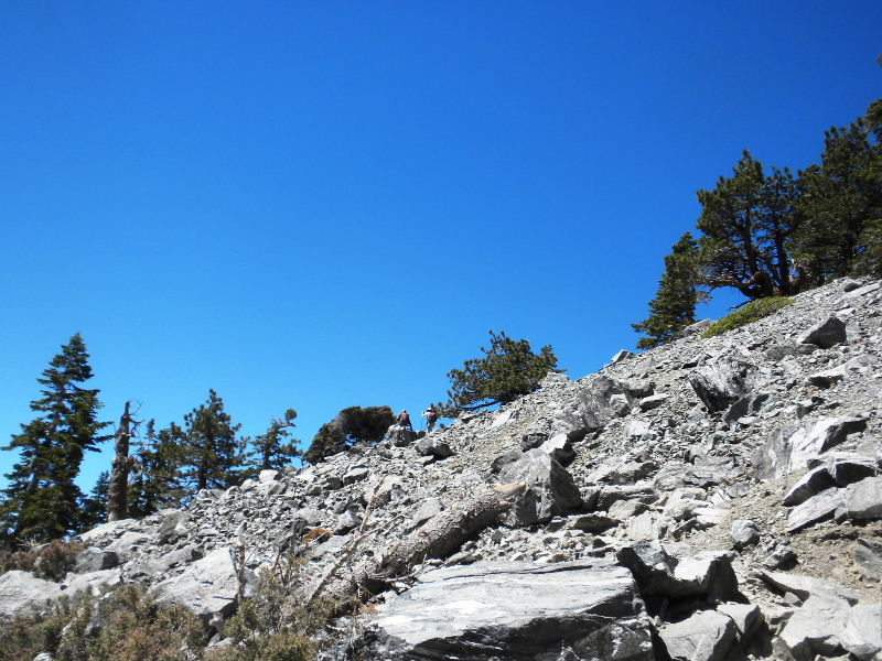 baldy70410 027.jpg